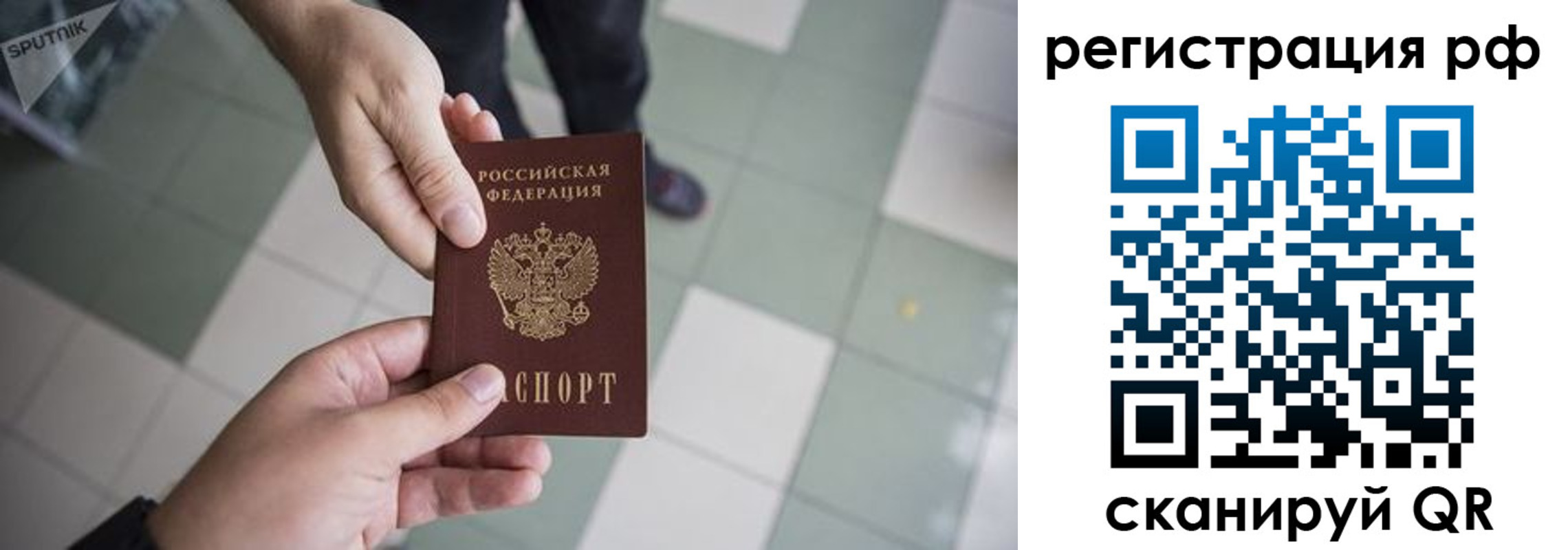 прописка гарантия в Липецкая области